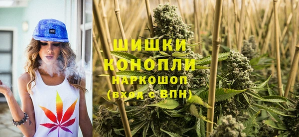 стаф Аркадак