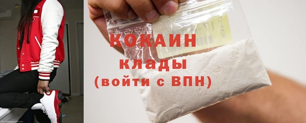 стаф Аркадак