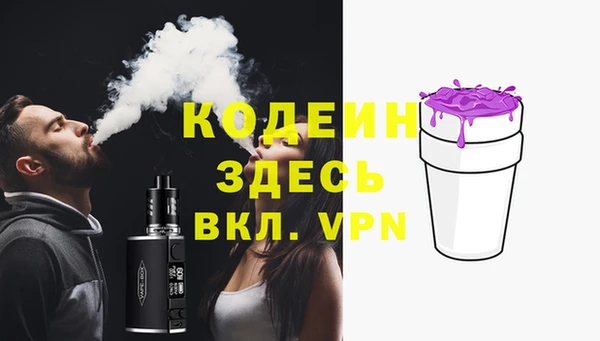 стаф Аркадак