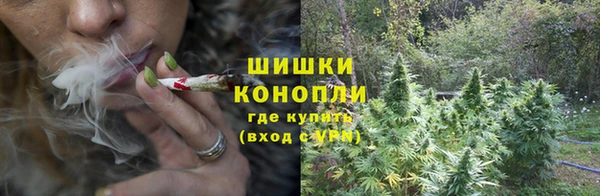 стаф Аркадак