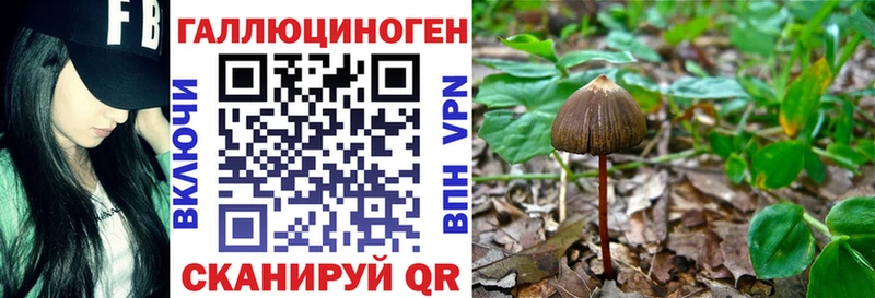 наркошоп  Сергач  Псилоцибиновые грибы GOLDEN TEACHER 